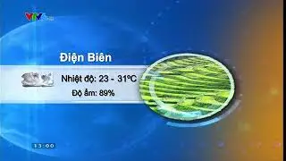 VTV6 - Dự báo thời tiết 13h ngày 3/8/2014