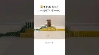 강아지와 도미노는 다시 안찍겠다던 아빠!!