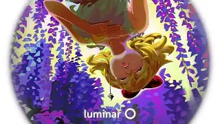 Kotori - Wisteria