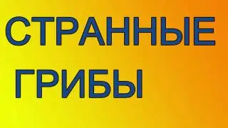 Странные грибы