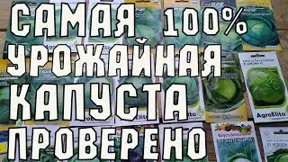 Самые Урожайные сорта и гибриды Капусты 2022. ЧАСТЬ 1.