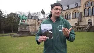 Sagenhafte Info: Unser aktuelles Buch 