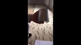 Мудд Пророка (мир ему и благословение Аллаха).