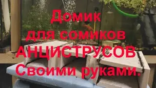 Домик для сомиков АНЦИСТРУСОВ. Своими руками.