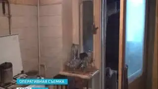 1430 KROKODIL VOZVRASHAETSIA