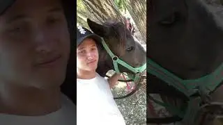 Путешествие на конях 