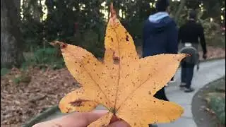 Texarkana to Botanical Garden Hot Springs AR