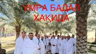 Umra badal haqida