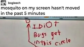 Tumblr Memes