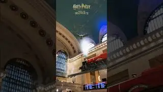 Happy Back to Hogwarts! All aboard for another year of magic! #shorts