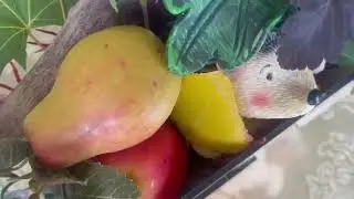 Осенняя подделка. Кому нужны идеи.. ФиксПрайс и природа вам в помощь..