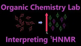 Interpreting ¹HNMR Spectra | Organic Chemistry Lab Techniques