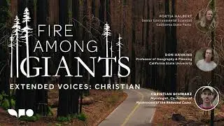 Fire Among Giants: Extended Voices Podcast — Christian Schwarz
