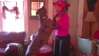 Dancing Dane
