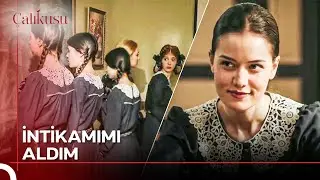 Kızlara Tatlı Bir Ders Verdim | Çalıkuşu