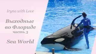 Выходные во Флориде / Орландо / Sea World /Ч.3