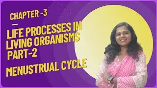 Life Processes In Living Organisms Part-2|Menustrual Cycle| Reproduction & Modern Technology