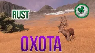 RUST | Жир, где его найти? # 2