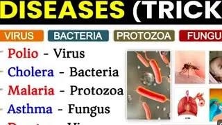 Biology GK : Human disease (मानव रोग) | Diseases mcq For SSC RRB UPSC Bank | Manav rog gk