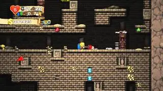 Spelunky Daily Challenge 29 January 2014
