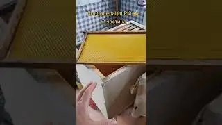 🐝🍯