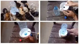 O Melhor BEBEDOURO CASEIRO Automático Para Pintinhos