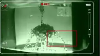 Форматирование структуры ДНК в невесомости