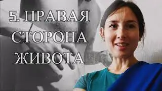 Как наносить тилаку ИПДТ 7 набор 6 группа