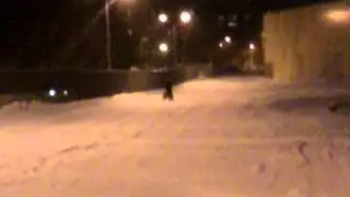 зид Жени