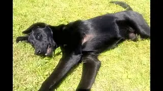Команда 