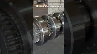 7 ноября 2023 г.