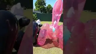 Inflatable Skunk Review