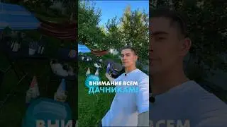 Уровень подготовки: высокая 🫡