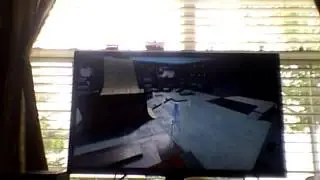 Skate 3 fun