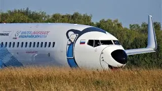 Боинг 737-800 с мордой собачьей NordStar