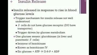 148-Insulin Signals