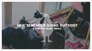 Curious Quail - Hey, Remember Going Outside?