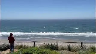 Hawk 1 dlg maiden in like 2mph