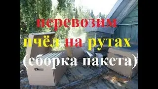 сборка РУТ-пакета   (beekeeping)