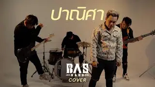 ปาณิศา - BASBAND ( COVER VERSION )