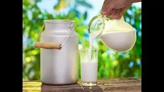 Четверг молочный день