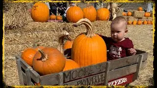 HALLOWEEN Kürbis Schnitz CHALLENGE in USA