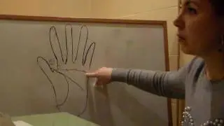 уроки хиромантии