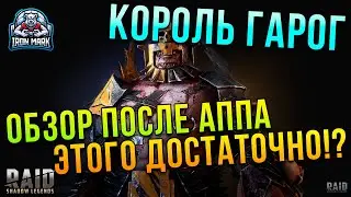 Король или Холоп!? | Обзор | ДД для Gold 4 | Raid Shadow Legends