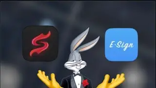 SCARLET vs ESIGN