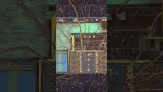 what's inside the IC