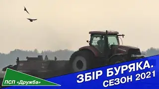 Збір буряка. Сезон 2021