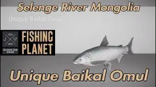 Fishing Planet - Unique Baikal Omul - Selenge River Mongolia