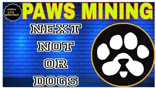 Paws new viral airdrop - supported by notcoin and dogs @cryptotamilassistance  #paws #blum