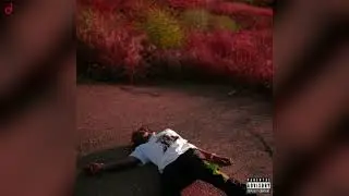 PYREX-LOST [8D]